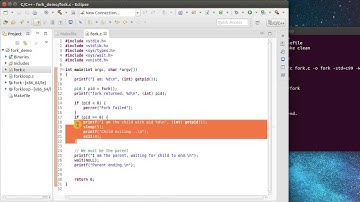 Linux fork() Introduction