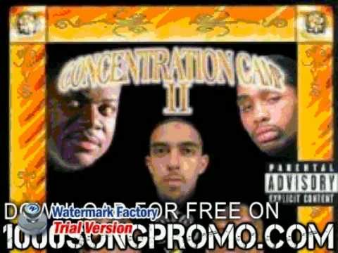 They Ain't 'bout No Trouble (Radio Edit) Video