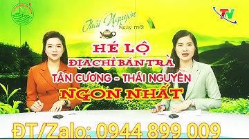Chè Thái Nguyên - VietGAP | Hợp tác xã Trà Xanh Thái Nguyên