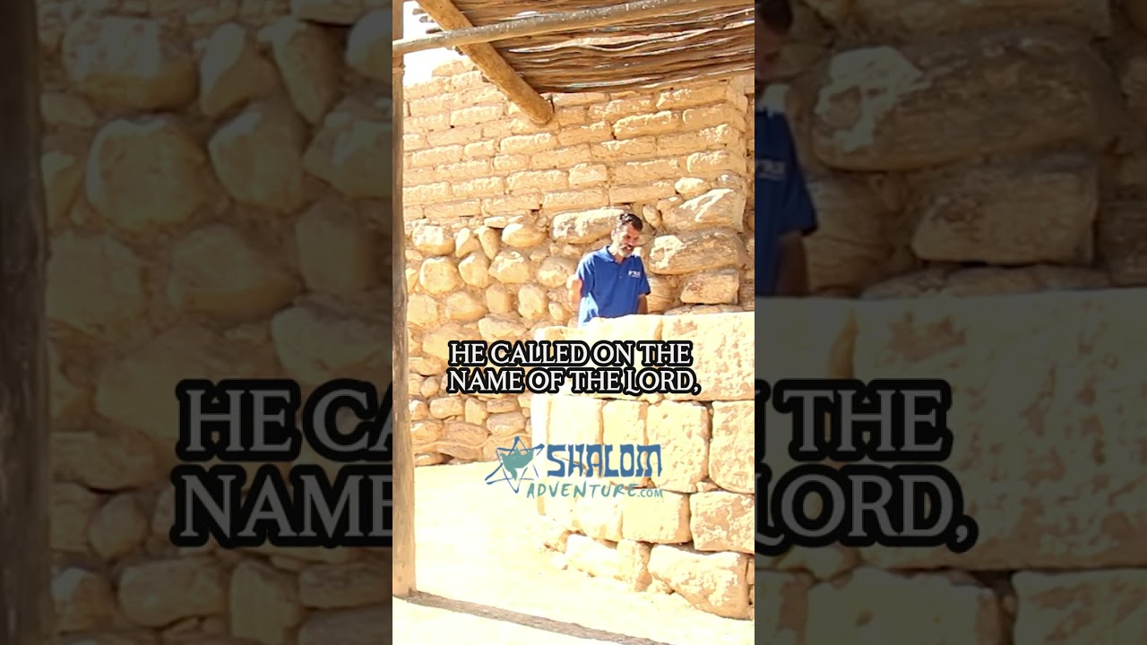 What this ancient tree teaches about calling on God. #Shorts