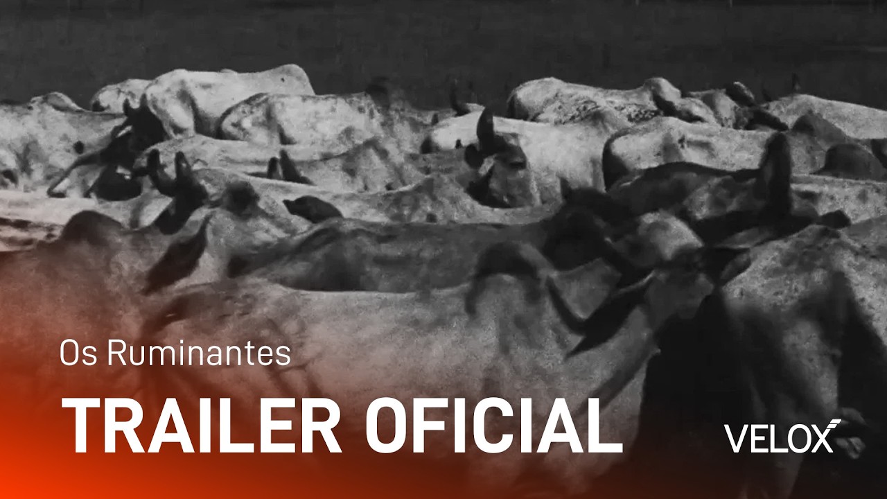 Trailer de Os Ruminantes