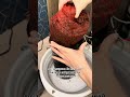 А ещё я увлекаюсь акваримустикой. Сейчас на уровне любителя, раньше выращивала тазами бликсу