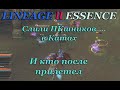 {Lineage 2 Essence} Вечернее ПВП в Катах. Убили ПКашников, и чем это для нас обернулось.