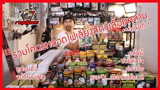 รวมหลอดไฟเลี้ยงสัตว์เลื้อยคลาน แนะนำความเหมาะสม ดูก่อนซื้อจะได้ไม่พลาด