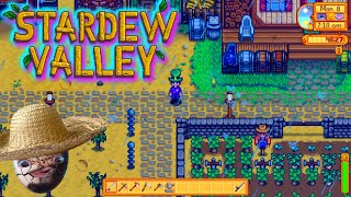 Stardew Valley! Lets make a lot of $$ this year.