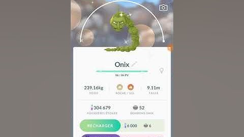 onix shiny évolution steelix shiny  (pokemon go)