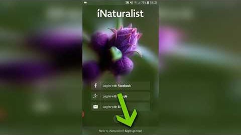 UNESCO BSP Bioblitz and iNaturalist Tutorial