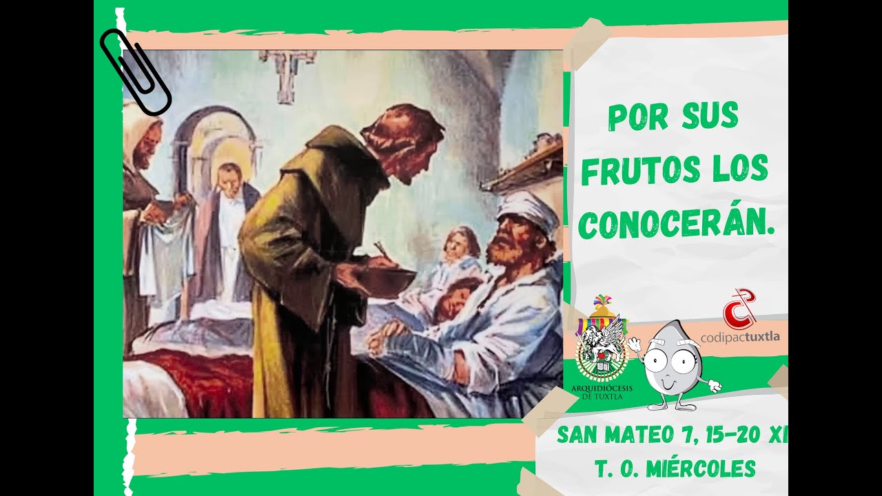 evangelio-del-d-a-san-mateo-7-15-20-xii-t-o-mi-rcoles-2023-06-28