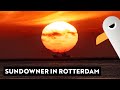 Rotterdam After Work ⚓️ Größter Container-Hafen Europas