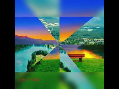 إمتزاج الطبيعة بالموسيقى الهادئة تعا ولا تجي اجمل اغاني فيروز