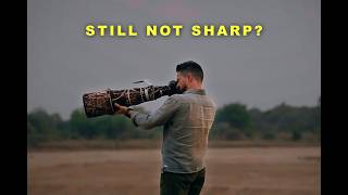 Soft wildlife photos? Here’s WHY screenshot 5