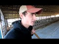 Dairy Farm Work | Cattle Care & Maintenance