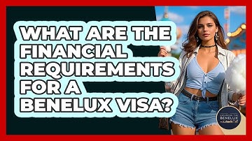 What Are The Financial Requirements For A Benelux Visa? - Exploring The Benelux