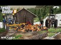 Splitting & selling wood @Chata Modding | Forestry Walchen 2K20 | Farming Simulator 19 | Episode 5