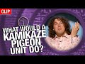 QI | What Would A Kamikaze Pigeon Unit Do?