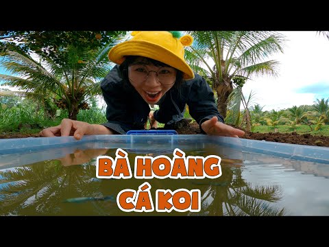 Video Đào Ao Khủng Nuôi Cá Rồng Trên Đảo Dừa - youtube