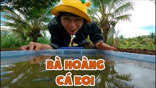 Đào Ao Khủng Nuôi Cá Rồng Trên Đảo Dừa