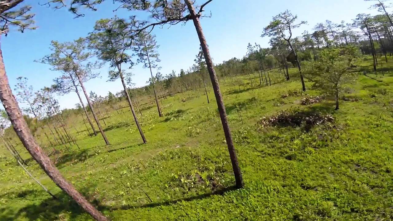 boltrc 210 blackops spinout