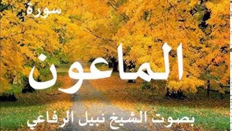سورة الماعون بصوت الشيخ / نبيل الرفاعي 107