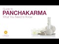 Guide to Panchakarma: What You Need to Know | John Douillard's LifeSpa
