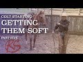 Colt Starting: Getting them Soft