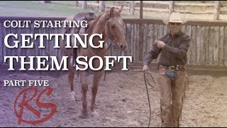 Colt Starting: Getting them Soft screenshot 4