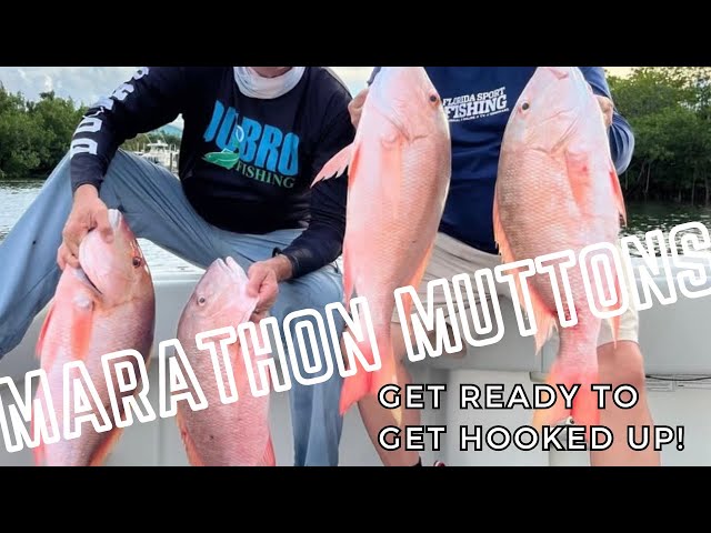 Marathon Muttons - Florida Sport Fishing TV - www.FSFTV.com 