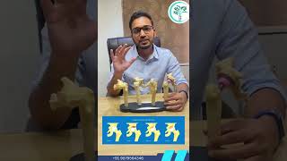 Total Hip Replacement, Avascular Necrosis Hip Surgery, Hip Pain Treatment In Adajan, Vesu, Surat