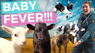 Spring Baby Animals on the Farm // Homesteading