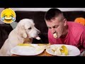 Super Funny Banana Eating with My Cute Dog Bailey [Try Not To Laugh]