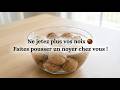 Ne jetez plus vos noix 🌰 Faites pousser un noyer chez vous !