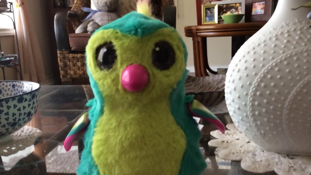 Hatchimals Pengualas review (Kid stage)