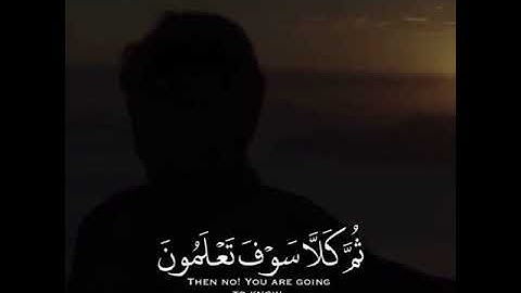 الهاكم التكاثر حتى زرتم المقابر || ماهر المعيقلي || سورة التكاثر