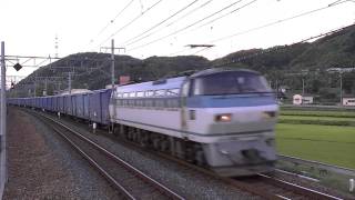 EF66　ワム貨物列車　3170レ