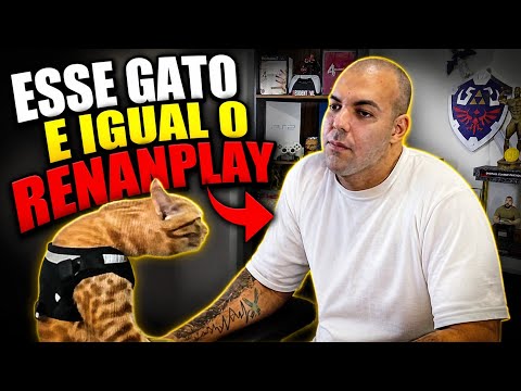 GATO IGUALZINHO O RENANPLAY 