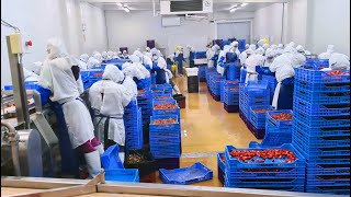 Planta De Congelados