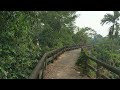 Aluva aqueduct view #aqueduct #kerala #aluva