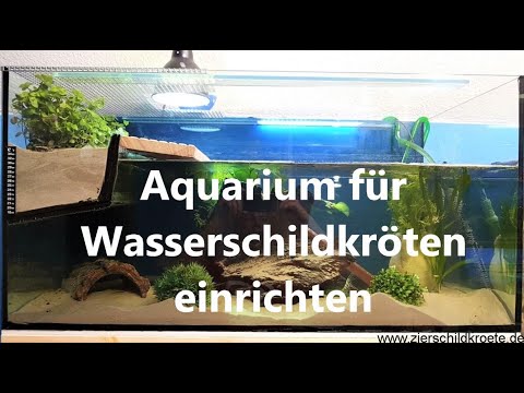 Video: Ein Aquarium für eine Schildkröte vorbereiten – wikiHow