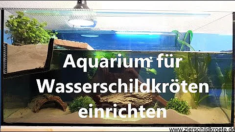 Was brauchen Wasserschildkröten im Aquarium?