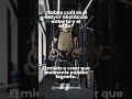 #motivacion #exito #reflexion #motivacionpersonal #frases