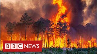 South of France faces “heat apocalypse” as thousands flee their homes - BBC News