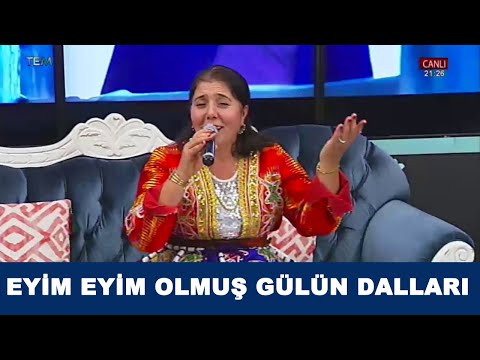 Aynur Demir Yılmaz