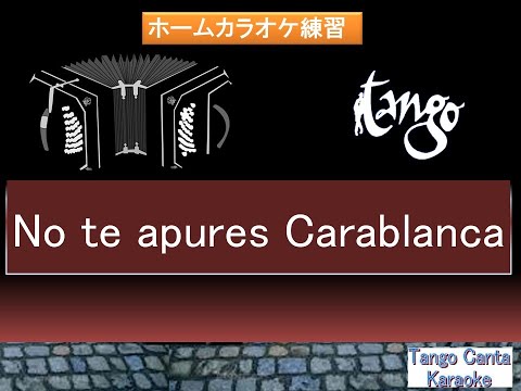 ホームカラオケ練習　No te apures Carablanca（2）(karaoke).