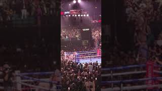 Canelo knockout Caleb Plant. Crowd goes wild!!!