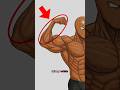 Want Bigger Forearms? (Fix Skinny Wrists)
