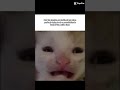They do the goofiest faces 😭 #funny #viral