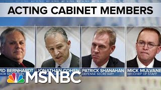 Acting FAA Chief One Of Many Temporary Roles In President Trump White House | MTP Daily | MSNBC