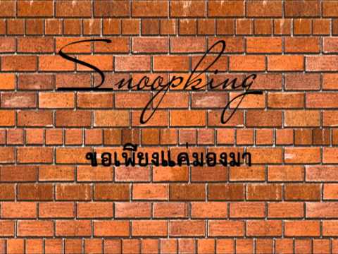 ขอเพียงแค่มองมา snoopking