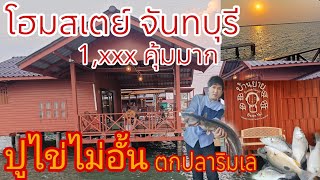 โฮมสเตย์จันทบุรี กินปูดูเหยี่ยวปูไข่ไม่อั้น งบ 1,xxx คุ้มมาก #โฮมสเตย์ #ไปไหนไปเที่ยว #บ้านยายโฮมสเต