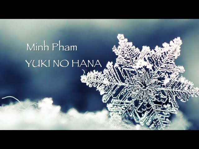 Yuki No Hana (Snow Flowers) - piano cover! class=